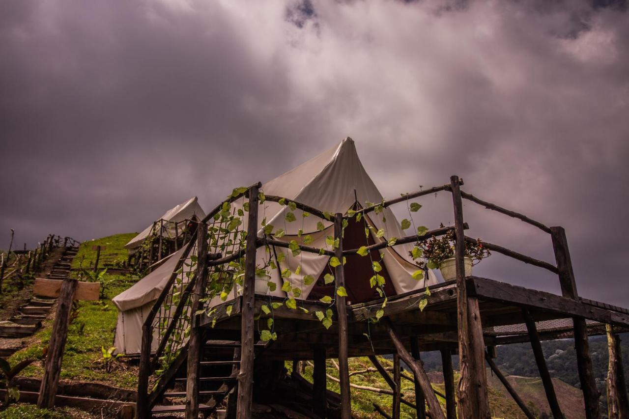 Hostel Glamping Rustiko Salento Exteriér fotografie